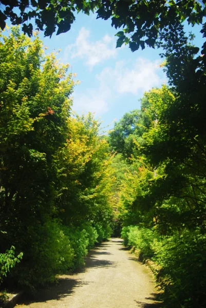 沐心泉休閒農場步道