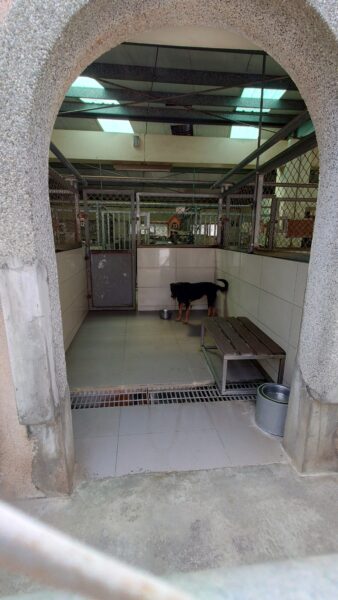 犬社臥室的照片