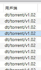 BT client 的名稱多為「dt/torrent」