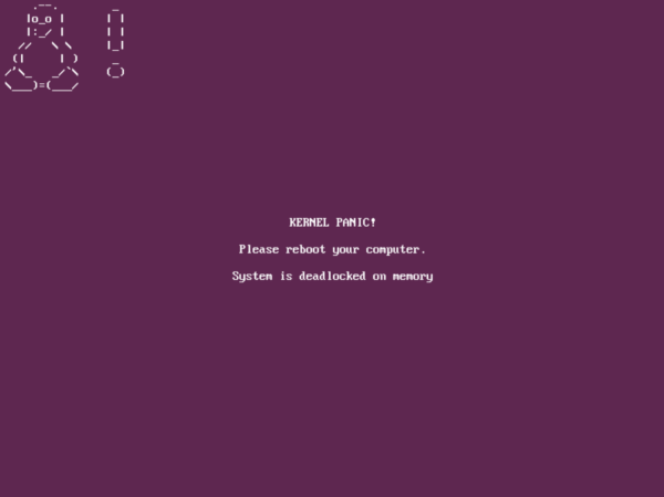 linux kernal panic screenshot